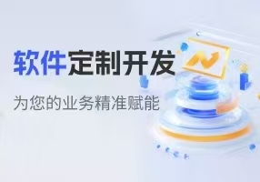 软件开发